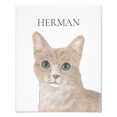 Personalisiert Orange Tabby Cat Art Fotodruck (Vorne)