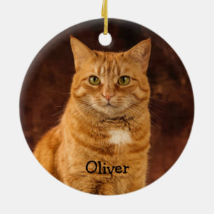 Personalisiert Orange Tabby Cat Keramik Ornament