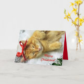 Personalisiert Orange Tabby Cat Weihnachten Karte (Gelbe Blume)