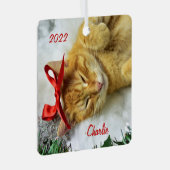 Personalisiert Orange Tabby Cat Weihnachten Ornament Aus Metall (Vorderseite Rechts)