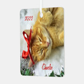 Personalisiert Orange Tabby Cat Weihnachten Ornament Aus Metall (Vorderseite links)