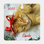 Personalisiert Orange Tabby Cat Weihnachten Ornament Aus Metall (Rückseite)