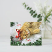 Personalisiert Orange Tabby Cat Weihnachten Postkarte (Stehend Vorderseite)