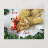 Personalisiert Orange Tabby Cat Weihnachten Postkarte (Vorderseite)