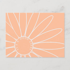 Personalisiert Peach Fuzz Daisy Blume Postkarte