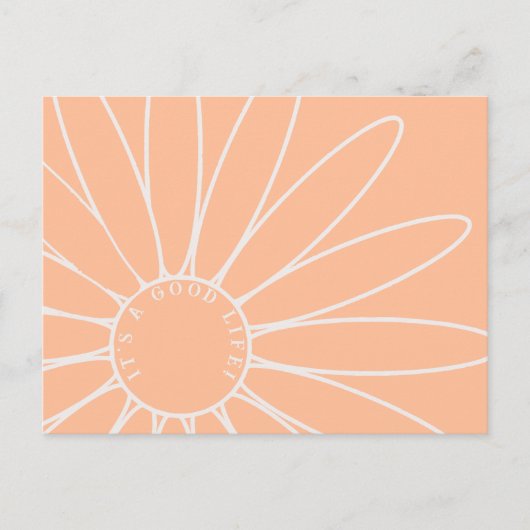 Personalisiert Peach Fuzz Daisy Blume Postkarte (Vorderseite)