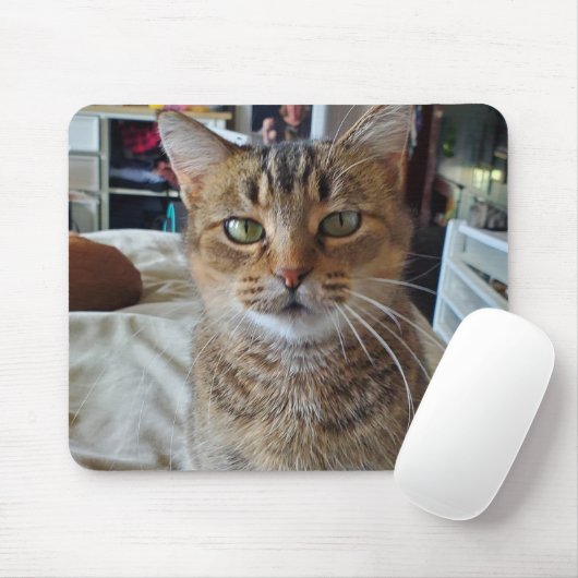 Personalisiert Pet Kitten Cat Foto Mousepad (Mit Mouse)