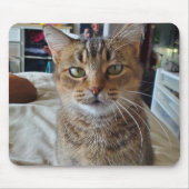 Personalisiert Pet Kitten Cat Foto Mousepad (Vorne)