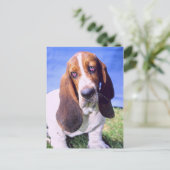 Personalisiert- Postkarte: Einmaliger Basset-Hund Postkarte (Stehend Vorderseite)