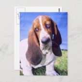 Personalisiert- Postkarte: Einmaliger Basset-Hund Postkarte (Vorne/Hinten)
