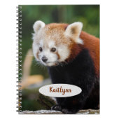 Personalisiert Red Panda Notizblock (Vorderseite)