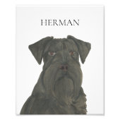 Personalisiert Schwarzer Schnauzer Kunst Fotodruck (Vorne)