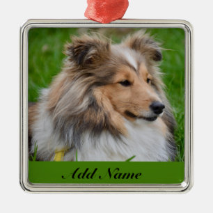 Personalisiert Shetland Sheepdog - Sheltie Dog Ornament Aus Metall
