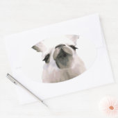 Personalisiert Snooty Snobby Llama Ovaler Aufkleber (Umschlag)