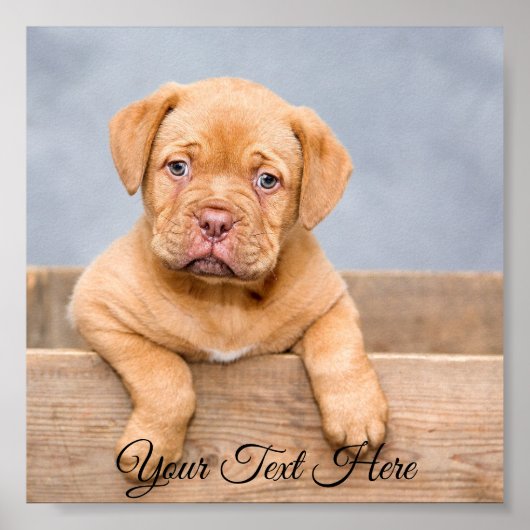 Personalisiert Square Poster Foto drucken. (Vorne)