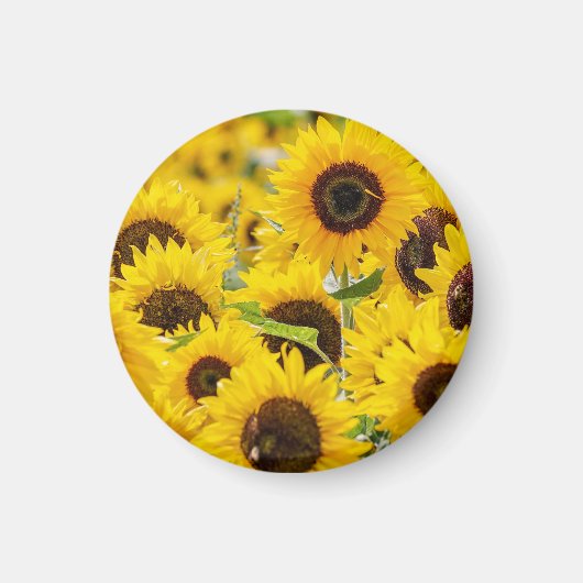 Personalisiert Sunflower Monogram Magnet (Vorne)