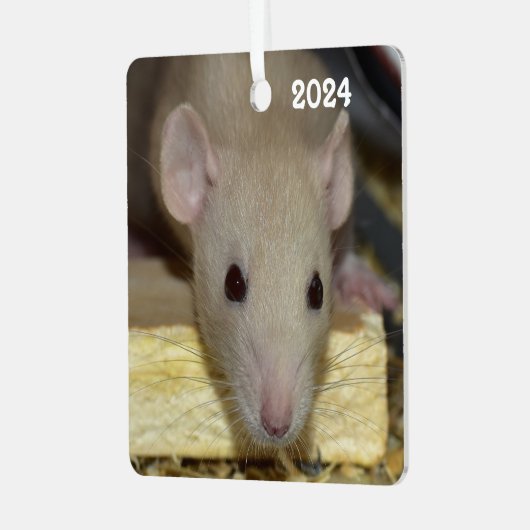 Personalisiert Tan Beige Dumbo Extravagante Ratte Ornament Aus Metall (Vorderseite links)