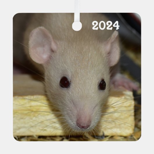 Personalisiert Tan Beige Dumbo Extravagante Ratte Ornament Aus Metall (Vorderseite)