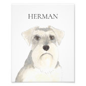 Personalisiert Weiß & Grau Schnauzer Art Fotodruck (Vorne)