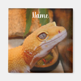 Personalisiert Yellow Leopard Gecko Lizard Magnet