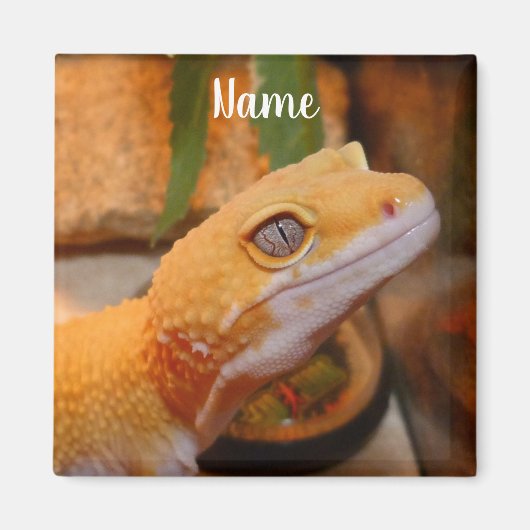 Personalisiert Yellow Leopard Gecko Lizard Magnet (Vorne)