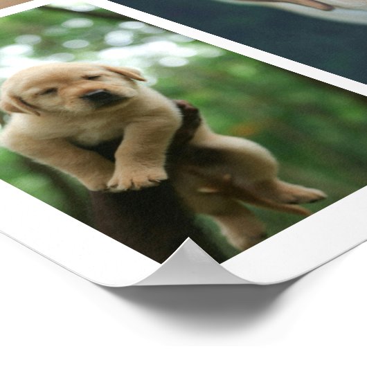 Personalisierte 12-Foto-Collage Poster (Ecke)