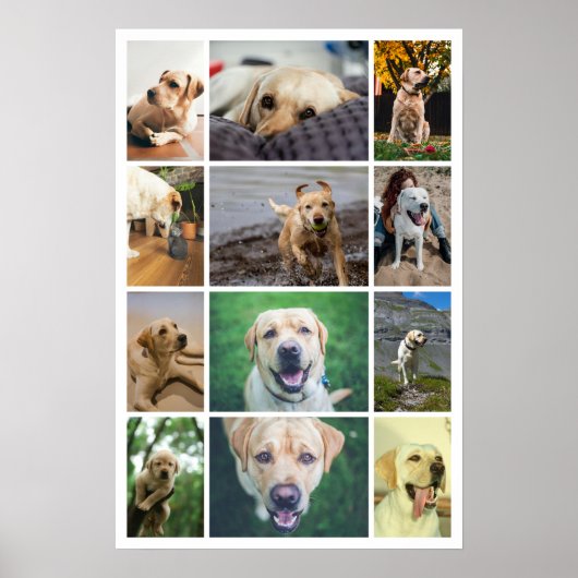 Personalisierte 12-Foto-Collage Poster (Vorne)