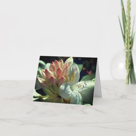 Personalisierte Azalea-Blume Karte (Vorderseite)