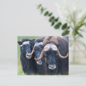 Personalisierte benutzerdefinierte Foto- und Texte Postkarte (Stehend Vorderseite)