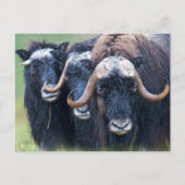 Personalisierte benutzerdefinierte Foto- und Texte Postkarte (Vorderseite)