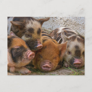 Personalisierte benutzerdefinierte Foto- und Textp Postkarte