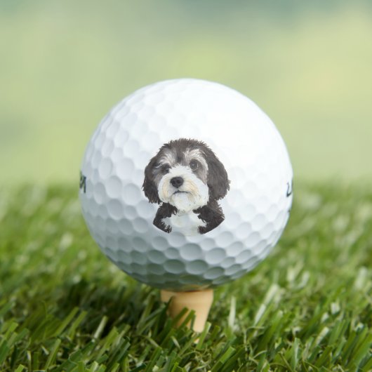 Personalisierte Bernedoodle-Getränkekasten Golfball (Insitu T-Shirt)
