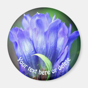 Personalisierte Blaue Enzianblume Magnet