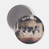 Personalisierte Border Collie Welpen Magnet (Vorderseite/Rückseite)