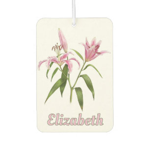 Personalisierte botanische Kunst Pink Stargazer-Li Autolufterfrischer