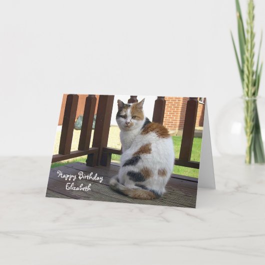 Personalisierte Calico Katze Geburtstag Karte (Vorderseite)