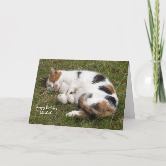 Personalisierte Calico Katze schlief am Geburtstag Karte (Vorderseite)