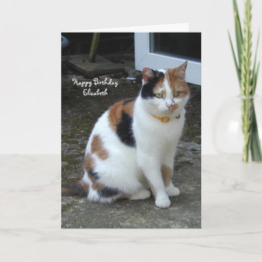 Personalisierte Calico-Katze vor dem Geburtstag Karte (Vorderseite)