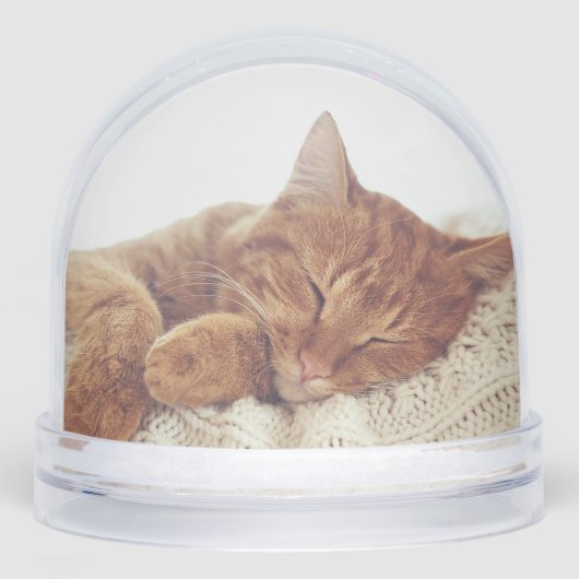 Personalisierte Cat Fotos Snow Globe Keepake Schneekugeln (Vorderseite)