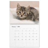 Personalisierte Cat Lover Family Custom Fotos 2026 Kalender (Feb 2026)