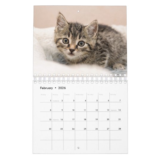 Personalisierte Cat Lovers Family Custom 2026 Foto Kalender (Feb 2026)