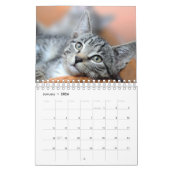 Personalisierte Cat Lovers Family Custom 2026 Foto Kalender (Jan 2026)