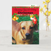 Personalisierte Custom Dog Foto Weihnachtskarten Karte (Gelbe Blume)
