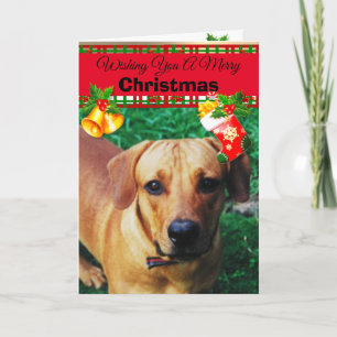 Personalisierte Custom Dog Foto Weihnachtskarten Karte
