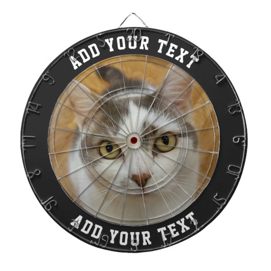 Personalisierte Dartplatine für benutzerdefinierte Dartscheibe (vorne)