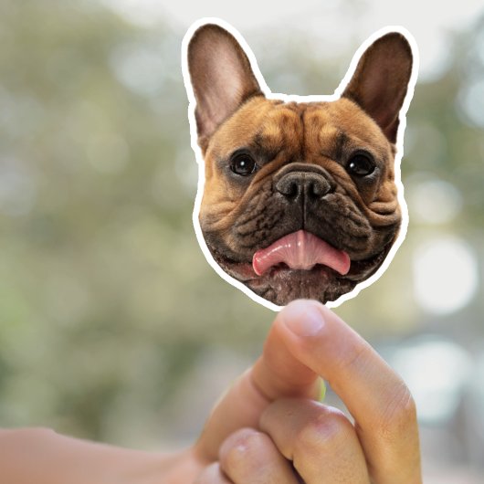 Personalisierte Dog-Aufkleber für Hunde-Gesichtsau Aufkleber