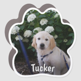 Personalisierte Dog Paw Print Foto Auto Magnet