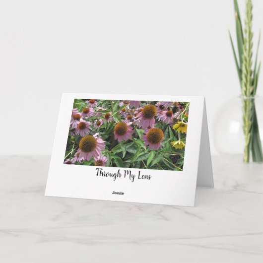 Personalisierte Echinacea Cone Blume Happy Birthda Karte (Rückseite)