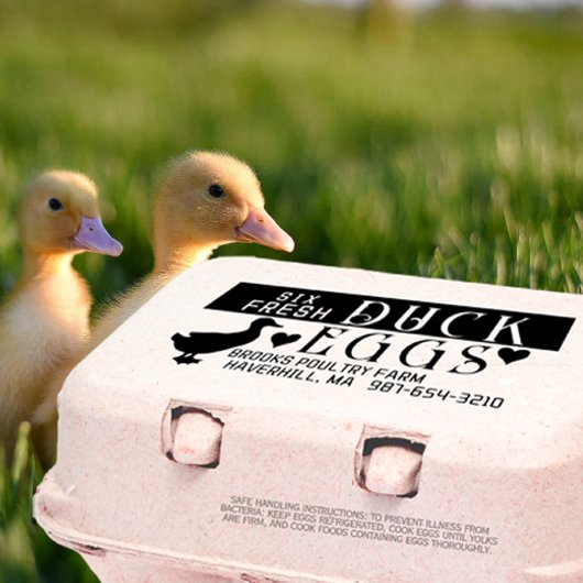 PERSONALISIERTE EGG CARTON Frische Enteneier und - Gummistempel