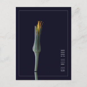 Personalisierte einfache elegante Blumen Schnelle  Postkarte